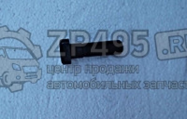 : 6501404 0014649     /   31105 . (, ,,,,, , NEXT, NEXT) tumen.zp495.ru