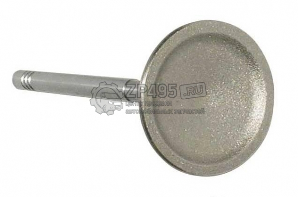 : 04884691AA 0019773   -31105 . PARTS MALL (, ,,,,, , NEXT, NEXT) tumen.zp495.ru