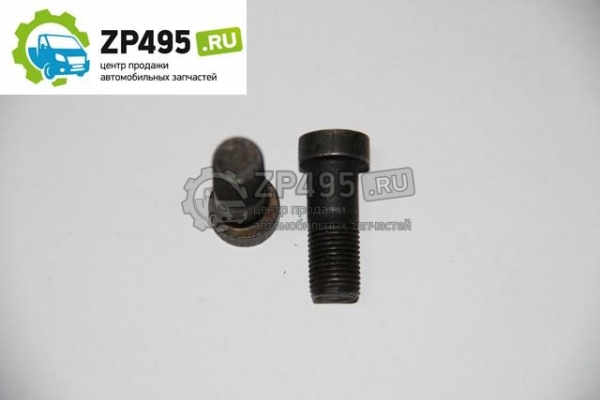 : 242403034 0005582  10*28/26*1  .    3110 tumen.zp495.ru