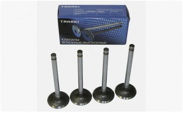 : TKG100701560 0003214   -2410,  Next .EvoTech 2.7 (939)  4.   (, ,,,,, , NEXT, NEXT) tumen.zp495.ru