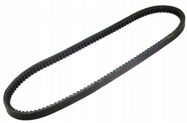 : 6PK1055 0015172  1055  DARWIN PLUS 6PK1055 tumen.zp495.ru