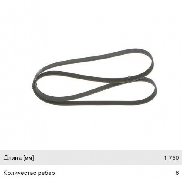 : 6PK1750 0015288   -31105,  .  (6PK-1750) DARWIN (, ,,,,, , NEXT, NEXT) tumen.zp495.ru