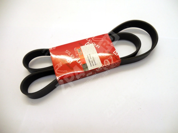 : 7PK1325 0031755  -3163  .IVECO  7PK1325 LINK tumen.zp495.ru