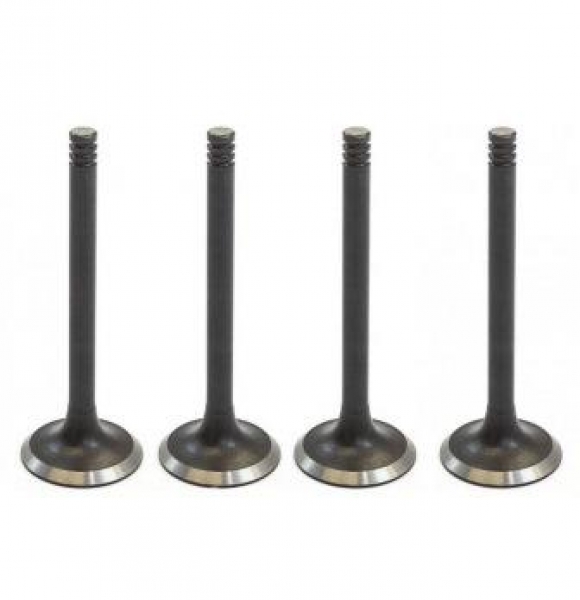 : A2743906597 0062098   -2410,  Next .EvoTech 2.7 (939)  4. ( ) (, ,,,,, , NEXT, NEXT) tumen.zp495.ru