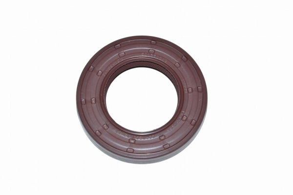 : 500350049 0072222  -3163 .IVECO F1A  346010 tumen.zp495.ru
